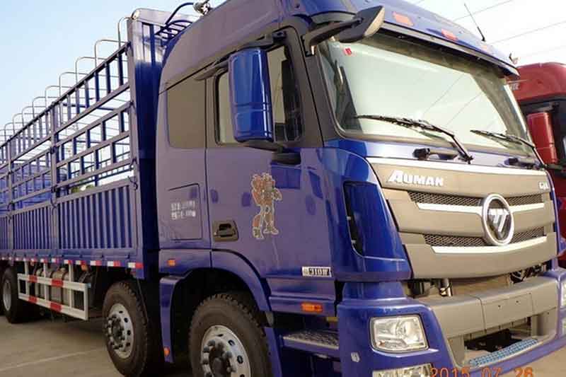 福田戴姆勒欧曼GTL 6系重卡 310马力 8X4 仓栅式载货车(BJ5319CCY-XJ)