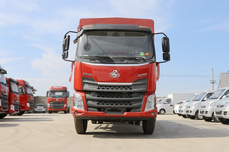 东风柳汽 乘龙新M3中卡 185马力 4X2 6.25米 国五 厢式载货车(LZ5161XXYM3AB)