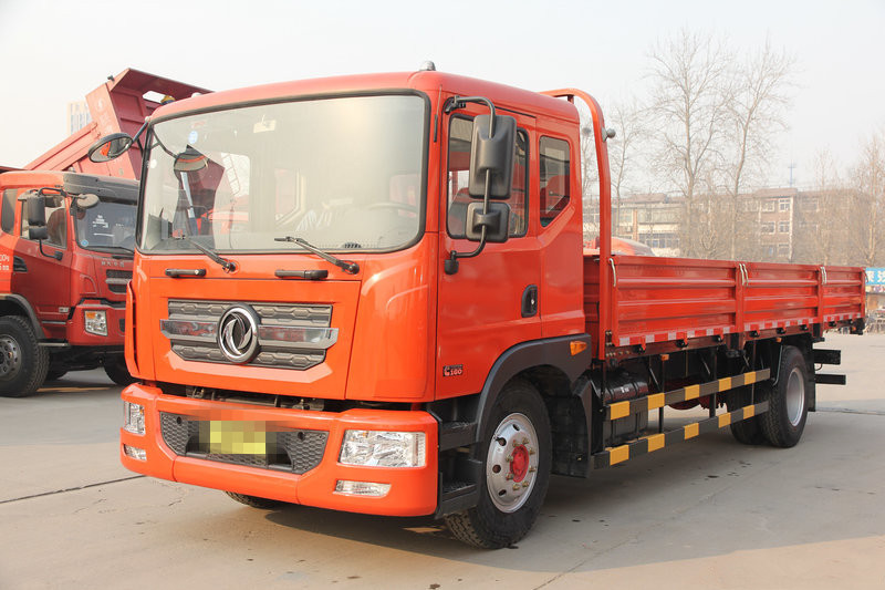 东风 多利卡D9 160马力 4X2 6.8米 国五 载货车(EQ1181L9BDG)