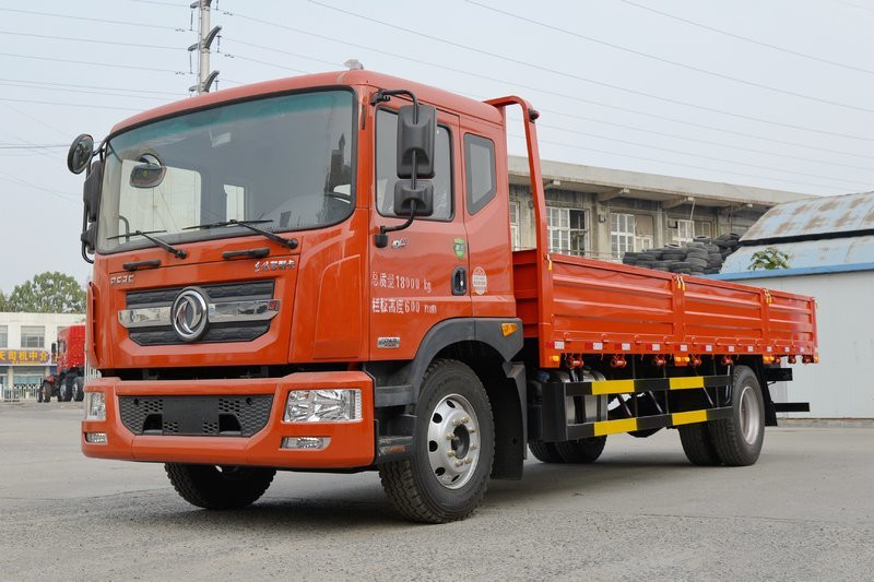 东风 多利卡D9 195马力 4X2 6.8米 国六 栏板载货车(EQ1181L9CDG)
