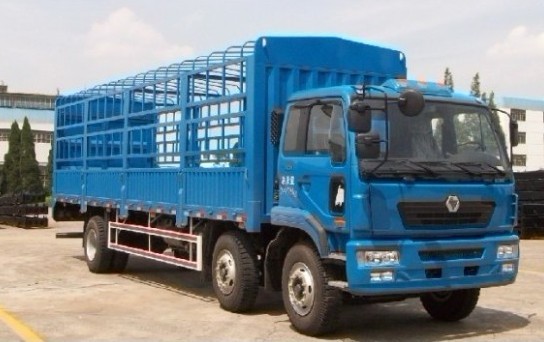 徐工 瑞龙中卡 220马力 6×2 仓栅载货车(NXG5251CSY3)