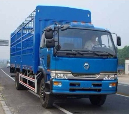徐工 瑞龙中卡 170马力 4×2 仓栅载货车(NXG5160CSY3)