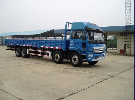 徐工 瑞龙重卡 260马力 8×4 栏板载货车(NXG1315DPL1)
