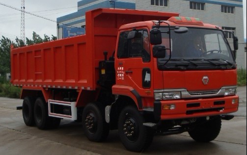 徐工 瑞龙重卡 310马力 8×4 自卸车(NXG3311D3AZE)