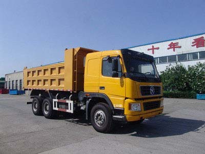 山西大运 重卡 310马力 6×4 自卸车（DYX3251PA41WPD3D）