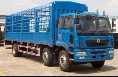 徐工 瑞龙中卡 260马力 6×2 仓栅载货车(NXG5200CSY3)