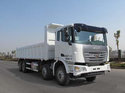 联合卡车 集瑞联合重卡 340马力 8×4 自卸车(SQR3310D6T6-3)