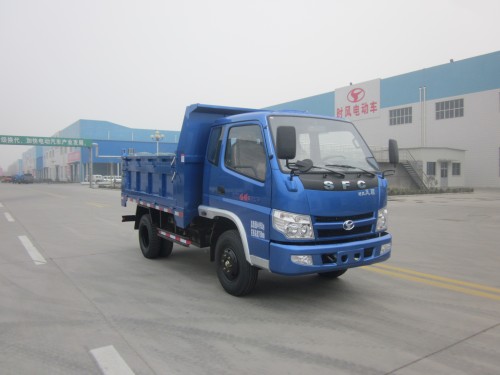 山东时风 风顺 轻卡 95马力 4×2 自卸车(SSF3041DDP53-1)