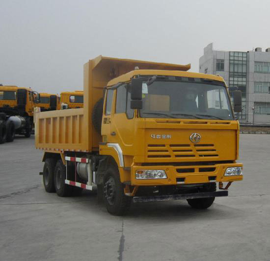 红岩 金刚重卡 300马力 6×4 自卸车(CQ3255TRG334)