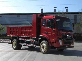 时骏汽车 凯沃达 中卡 180马力 4×2 自卸车(LFJ3120G4)