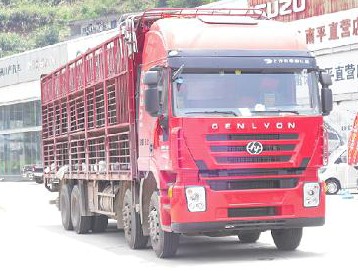 上汽红岩 杰狮C100 重卡 310马力 8×4 仓栅式 排半 载货车(CQ5315CCQHMG466)