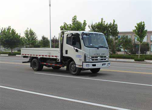 时代汽车 骁运 轻卡 95马力 4×2 自卸车(BJ3046D9JBA-FE)
